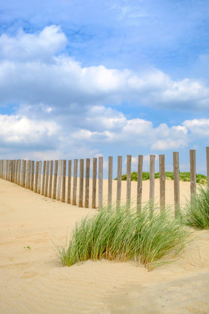 istock Summer in the dunes at the North Sea Beach 912465636