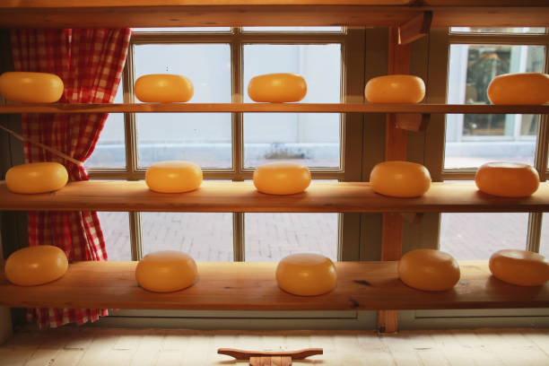 istock hard cheese in diary factory 912474438