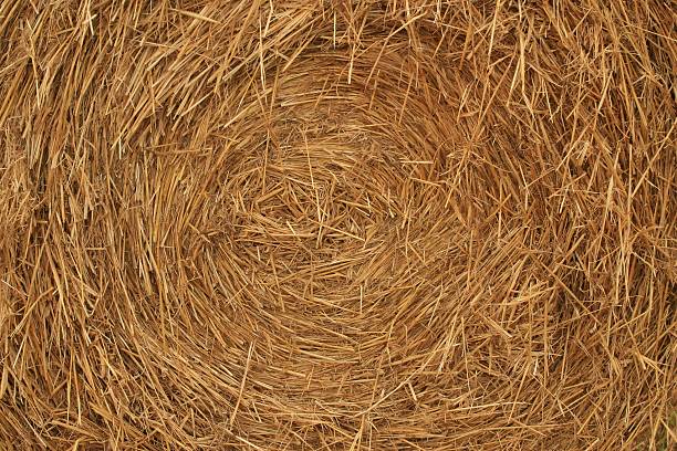 istock Bale of hay for backgrounds 91247709
