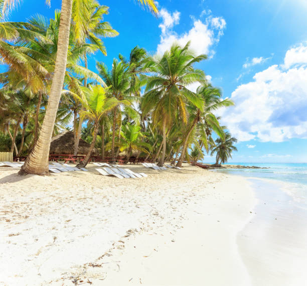 istock Vacation in Dominican Republic 912483520