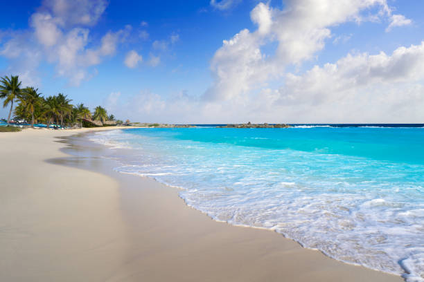 陳リオ ビーチ メキシコ コスメル島 - yucatan travel tropical climate mexico ストックフォトと画像