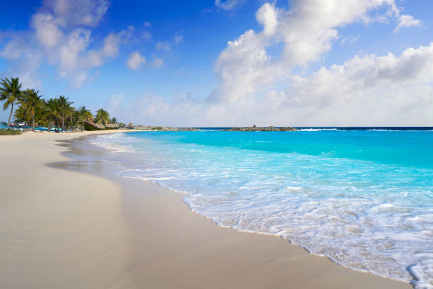 ilha de cozumel chen rio praia no méxico - maya bay - fotografias e filmes do acervo