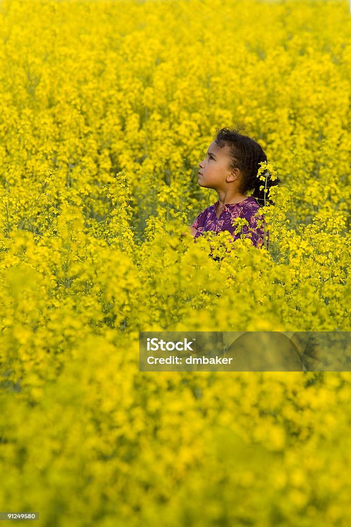 Linda garota afro-americana Interracial em campo de flores amarelas - Foto de stock de Afro-americano royalty-free
