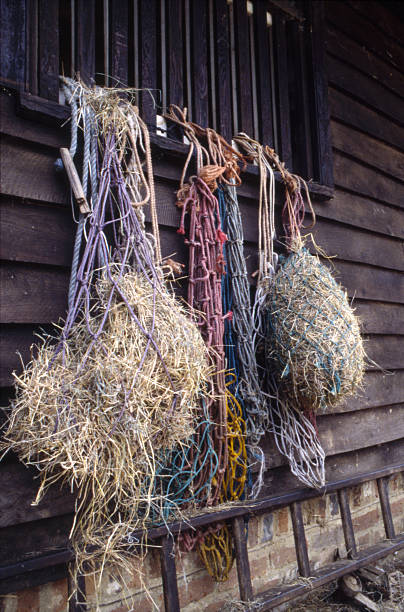 Fishing Nets stock photo