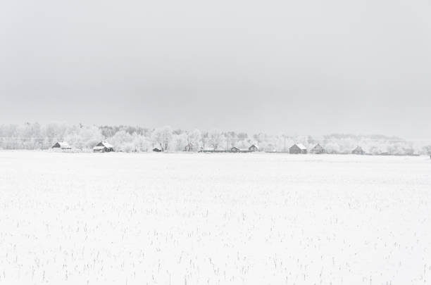 istock Field and village in the frost 912498128