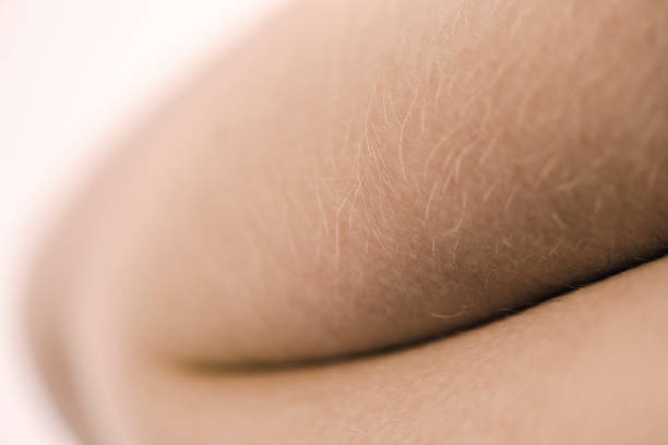 Abstract Close-Up of a Young Girl's Arm Delicate close-up of a young girl's arm. Photographed with a very shallow depth of field with the point of focus on the hairs on her arm. Horizontal format with some copy space. body hair stock pictures, royalty-free photos & images