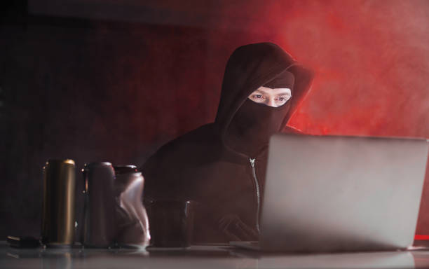 istock Orderly computer burglar working in laptop 912501958