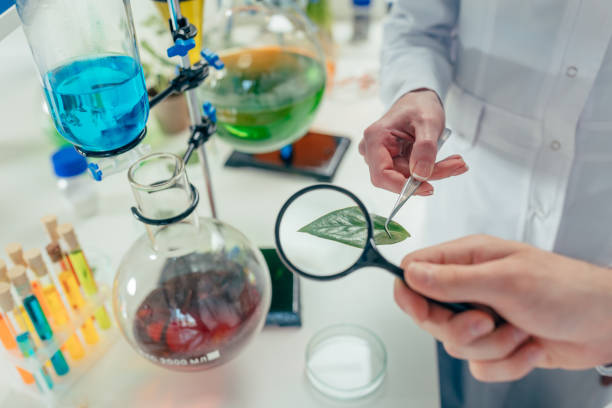 istock biologists with with magnifying glass and leaf 912504580