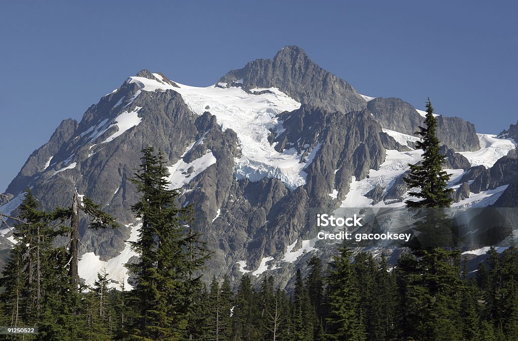 glacier de montagne - Photo de Arbre libre de droits