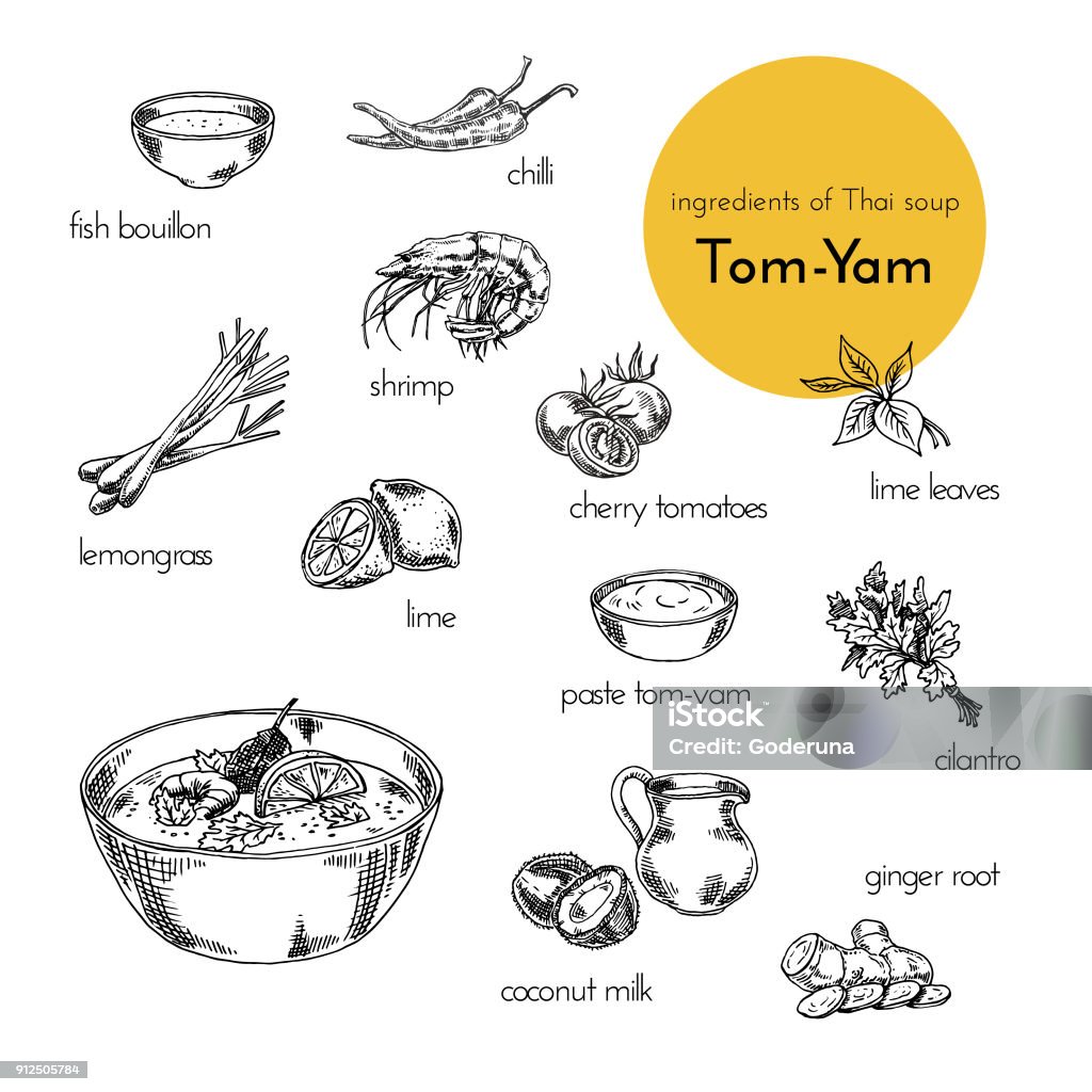 ilustraciones vectoriales de ingredientes para la sopa tailandesa tom-yam. Ilustración dibujado a mano - arte vectorial de Dibujo libre de derechos
