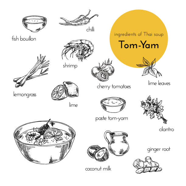 wektorowe ilustracje składników do tajskiej zupy tom-yam. ilustracja rysowana ręcznie - thailand thai culture thai cuisine vector stock illustrations
