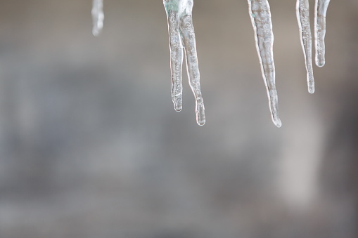 Icicles against blurred background. Spring coming, thaw and nature awakening concept, selective focus