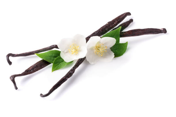 istock Vanilla sticks with flower and leaf isolated on white background 912507106