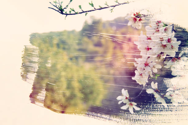 dreamy and abstract image of cherry tree. double exposure effect with watercolor brush stroke texture