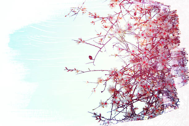 istock dreamy and abstract image of cherry tree. double exposure effect with watercolor brush stroke texture. 912507684
