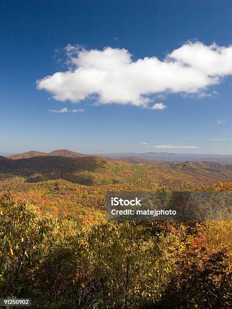 Nube De Otoño Foto de stock y más banco de imágenes de Aire libre - Aire libre, Appalachia, Bosque