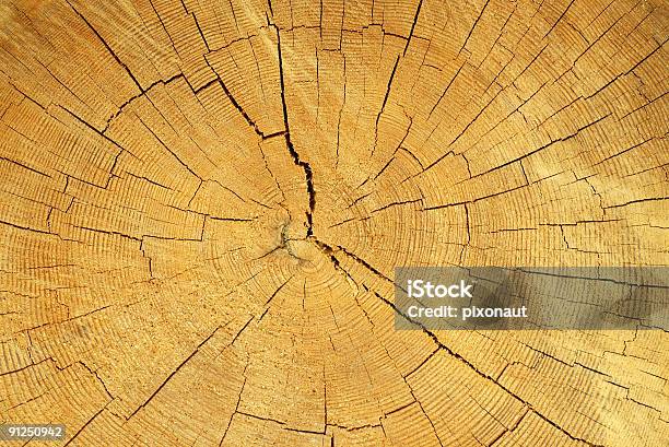 Annual Rings Stock Photo - Download Image Now - Aging Process, Brown, Circle