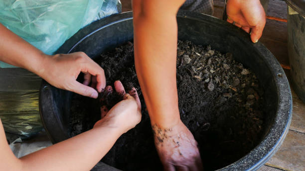 istock Bio fertilizer earthworm agricuture concept. 912511032