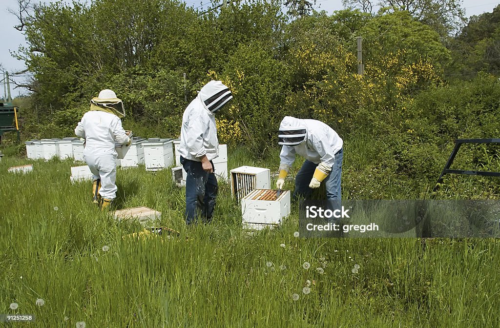 bee keepers  Beekeeper Stock Photo
