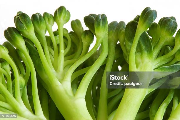 Brócolos Macro Imagem - Fotografias de stock e mais imagens de Alimentação Saudável - Alimentação Saudável, Botão - Estágio de flora, Branco