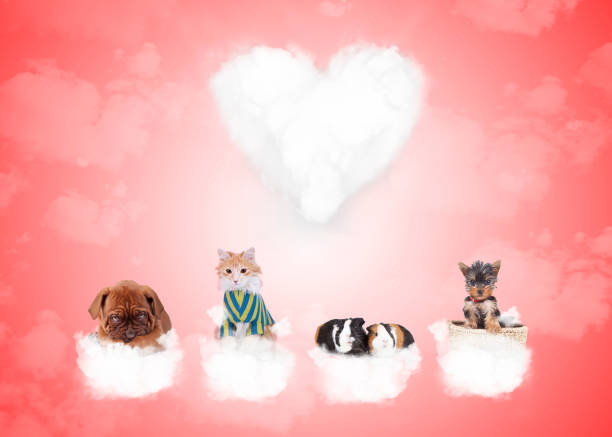 group of cute animals on love clouds celebrating valentine's day