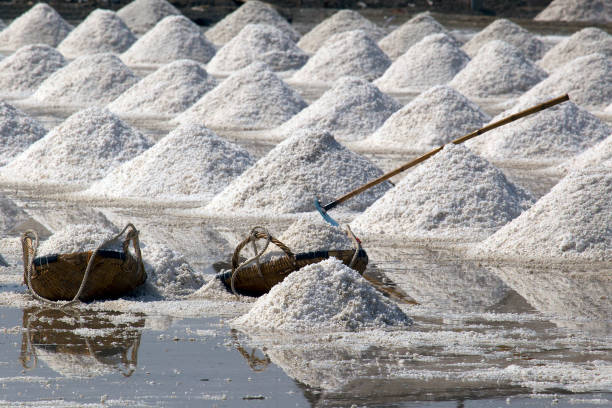 Sea salt harvesting in Thailand , Salt field , Salt pan stock photo