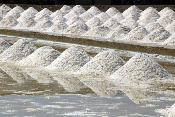 Sea salt harvesting in Thailand , Salt field , Salt pan stock photo