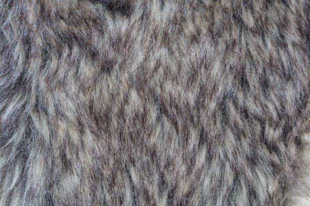 close up on hairy fur