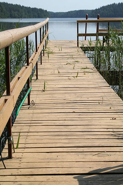 Próximo do lago - foto de acervo