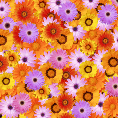 An abstract picture of colorful bouquets. design background concept.