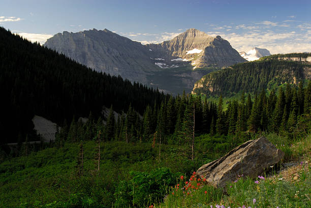 istock Splendour of Glacier National Park 91252007