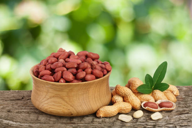 istock peanuts with leaf in bowl on old wooden table with a blurry garden background 912522138