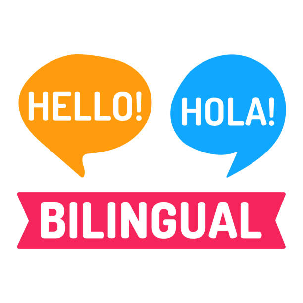 Bilingual. Vector flat illustration on white background. Study concept. bilingual stock illustrations