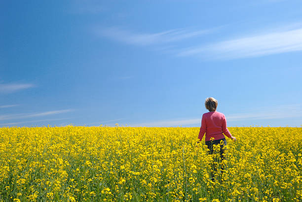 istock Field, sky and the woman 91252361