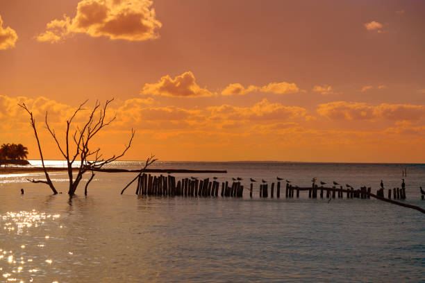 istock Holbox island sunset beach in Mexico 912526120