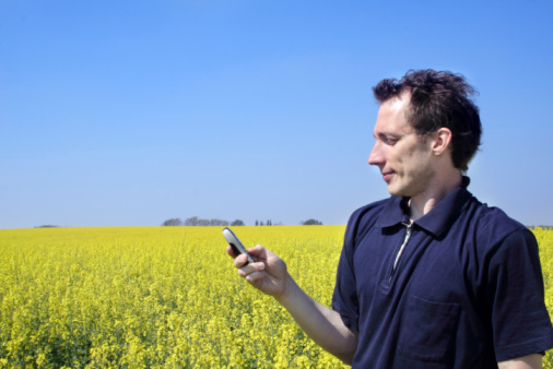Man with cellphone in oilseed field