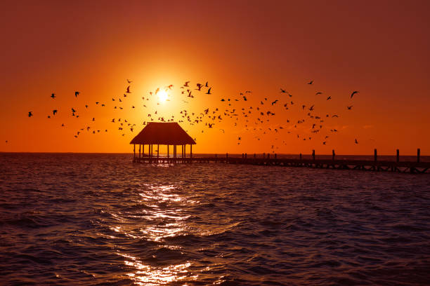 Holbox island sunset beach tropical hut pier in Mexico