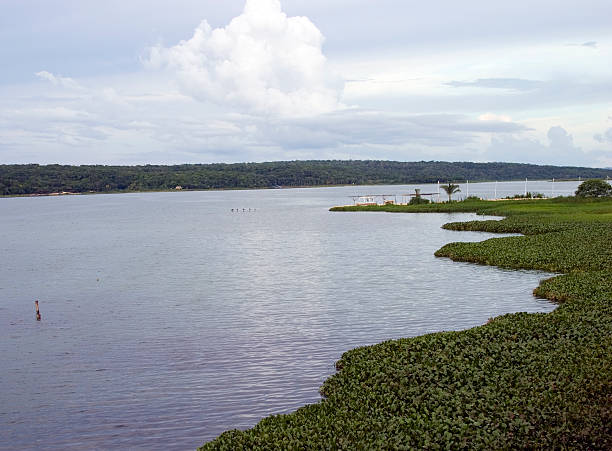 Lake Peten Itza, Guatemala stock photo