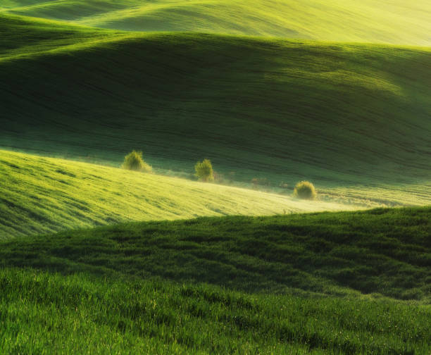 istock spring field. picturesque hilly field. agricultural field in spring 912532126