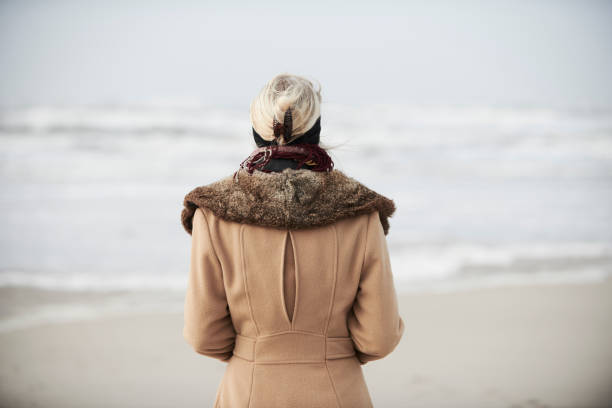 istock Danish west coast 
