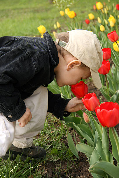 istock The boy smells a tulip 91253641