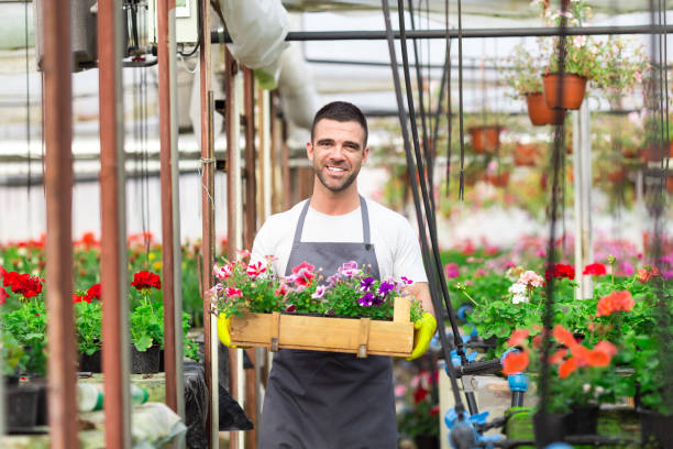 istock Male garden worker holding a crate with flowers 912542624