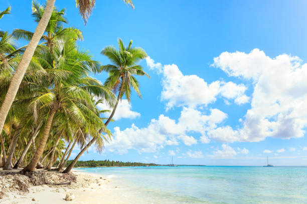 istock Vacation in Dominican Republic 912543308