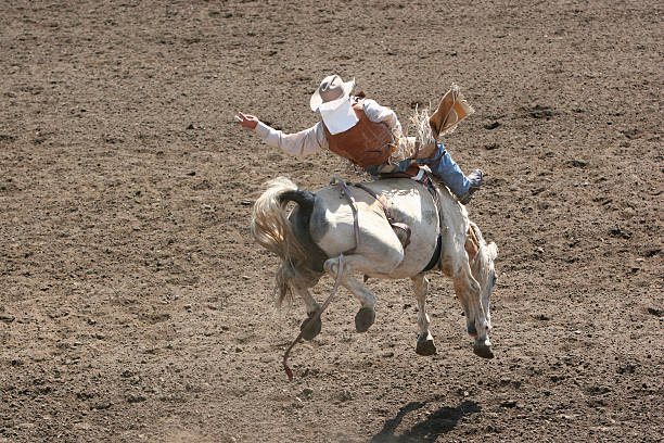 istock Bucking Bronco at the Rodeo 91254807