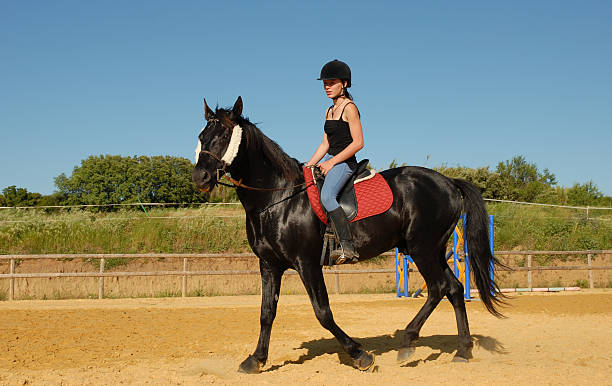 istock girl on black horse 91254886