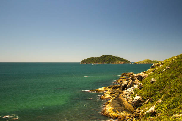 istock Water Green from Santa Catarina - Brazil 912550738