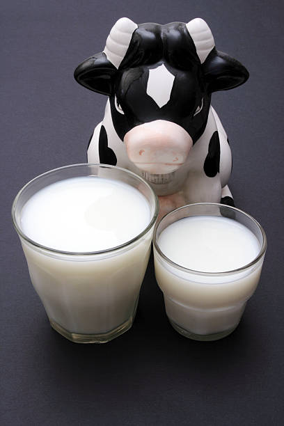 les vaches ont lait - got milk photos et images de collection