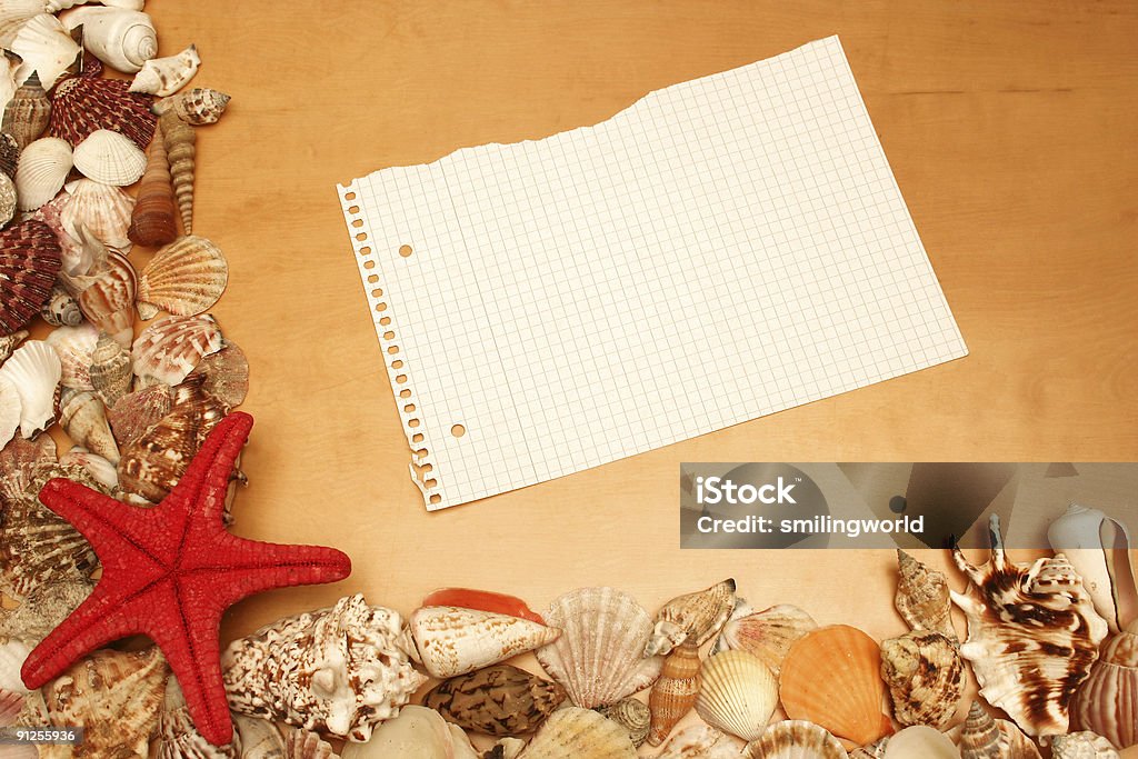 Conchas e papel em branco - Foto de stock de Arranjo royalty-free