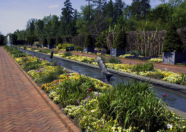 istock Beautiful Ornamental southern Garden 91256055