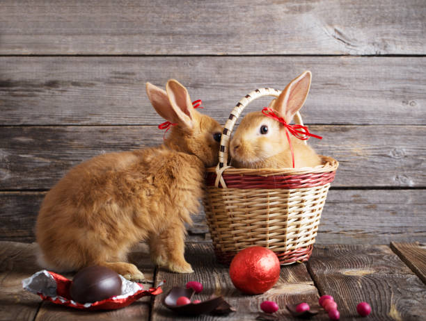 istock red bunnies on old wooden background 912560628